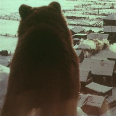Продается медвежья шкура 1978 г.